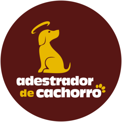 Adestrador de Cachorro